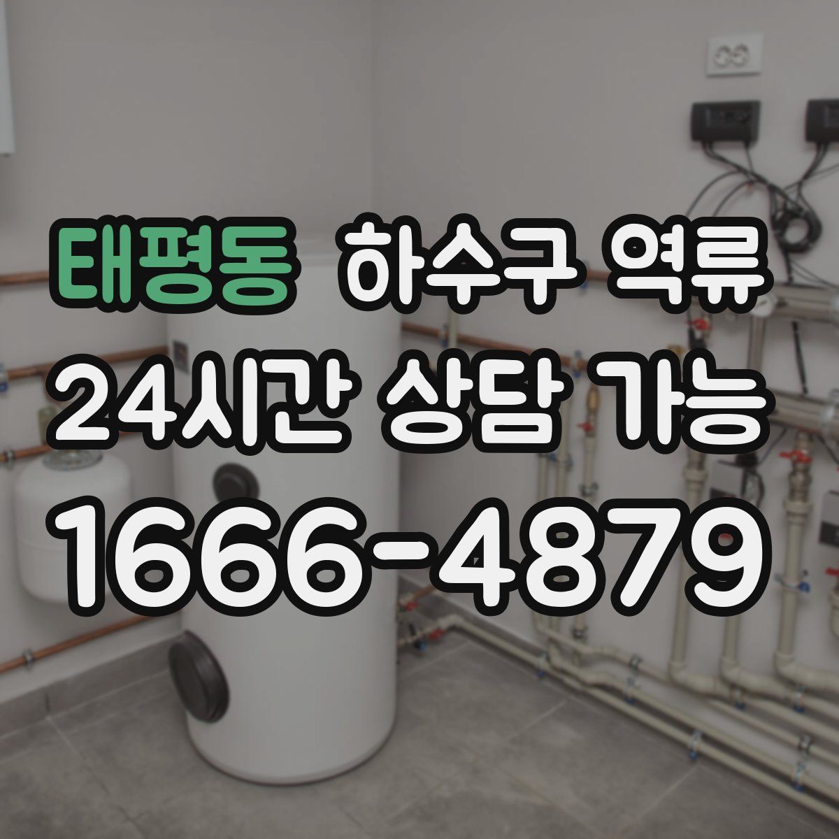 태평동 하수구 역류