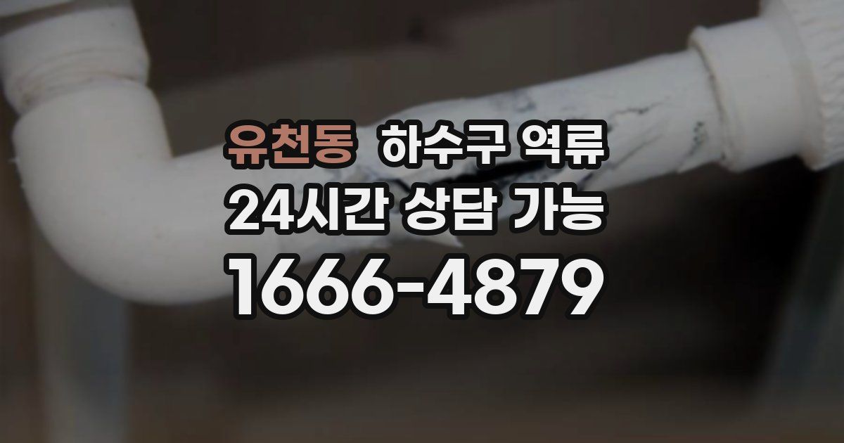 유천동 하수구 역류