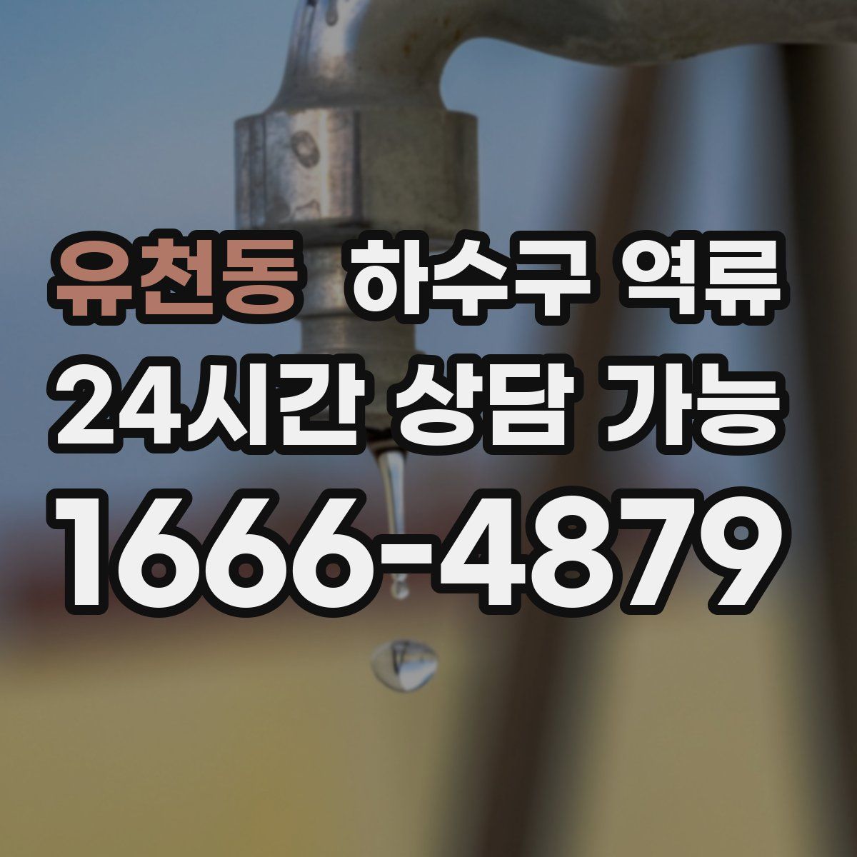 유천동 하수구 역류