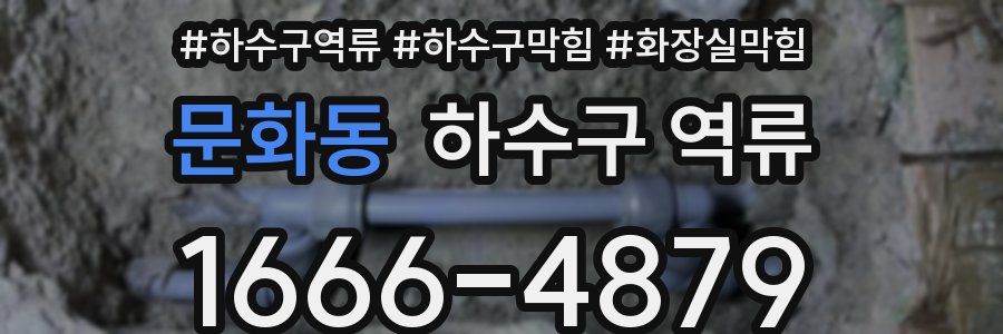 문화동 하수구 역류