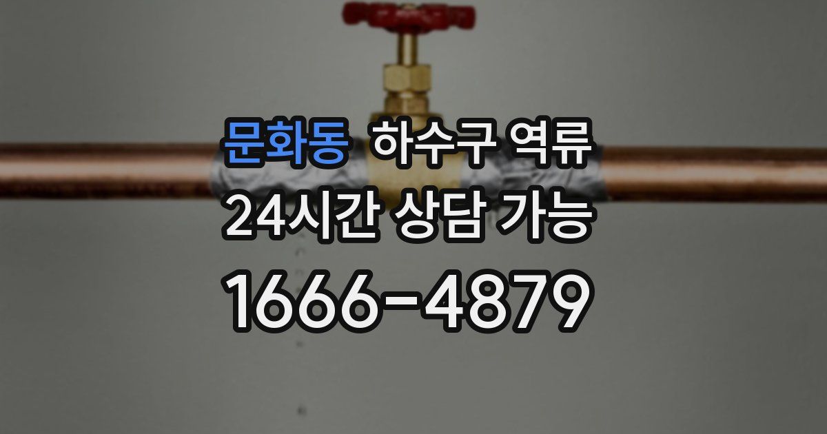 문화동 하수구 역류