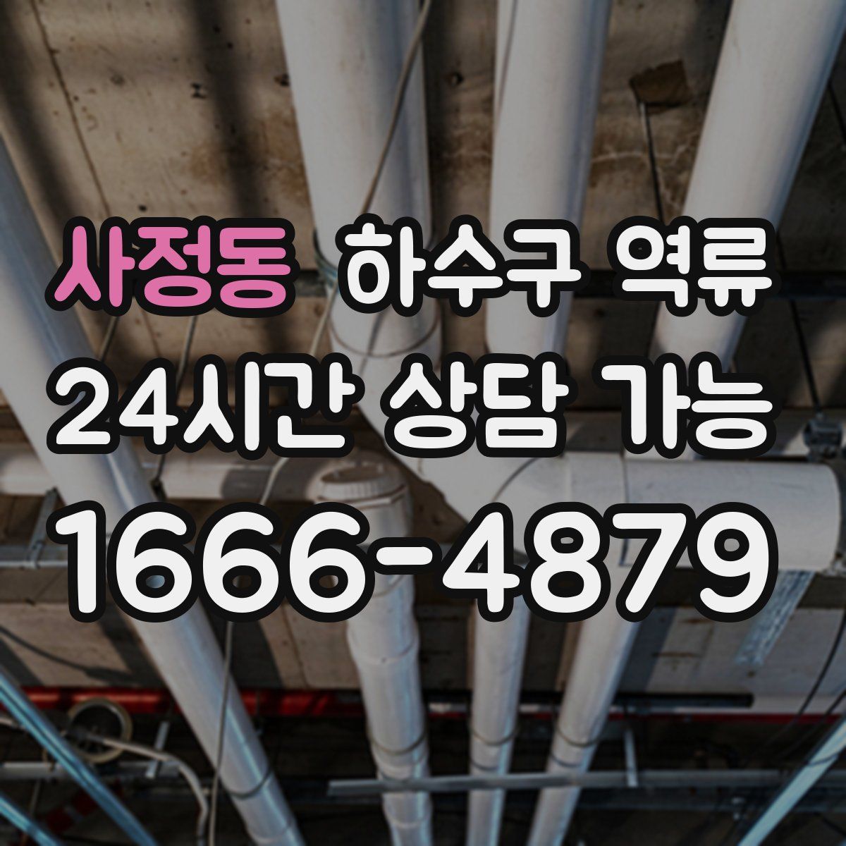 사정동 하수구 역류