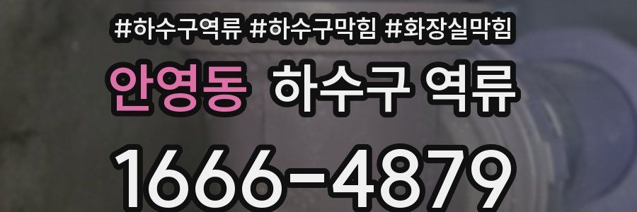 안영동 하수구 역류