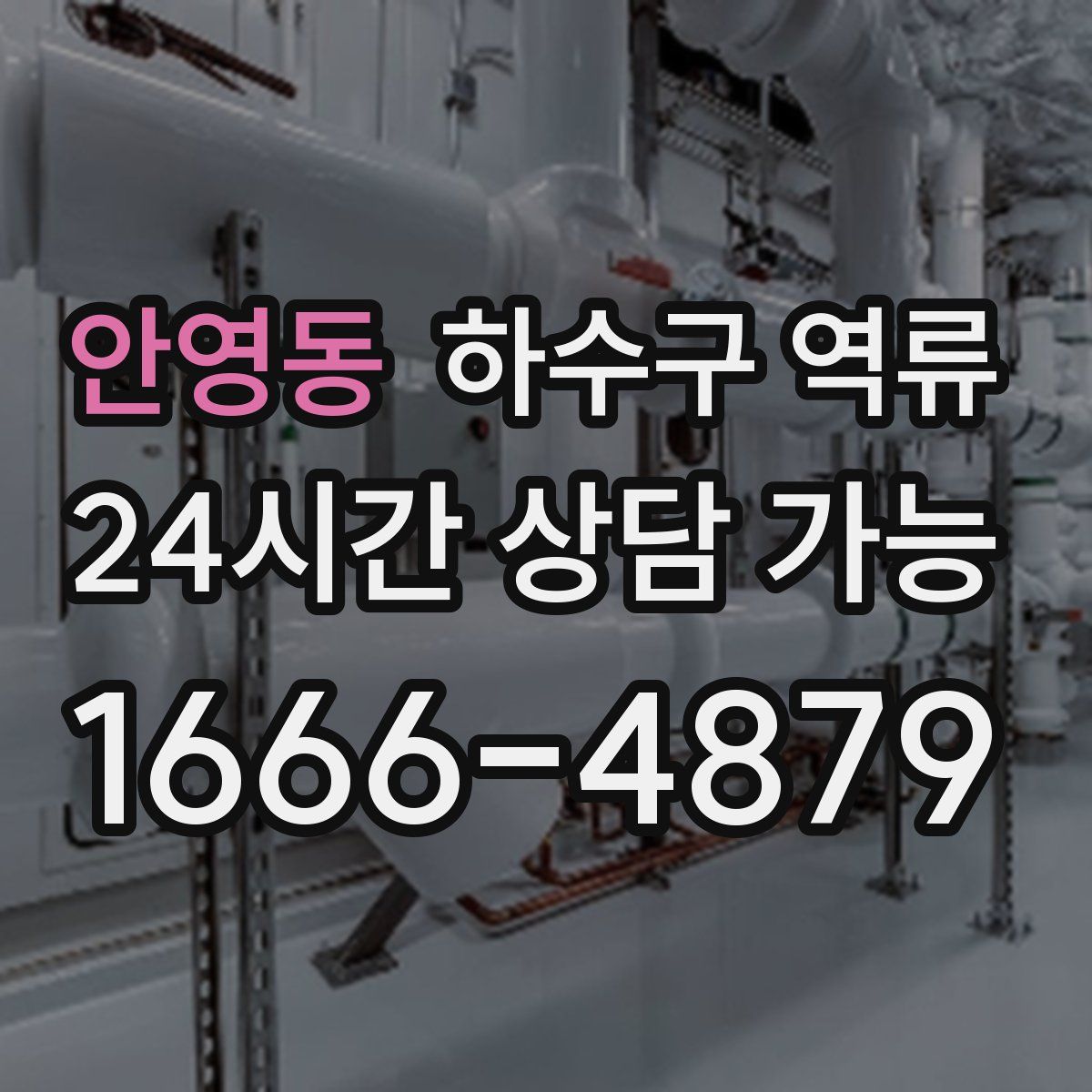 안영동 하수구 역류