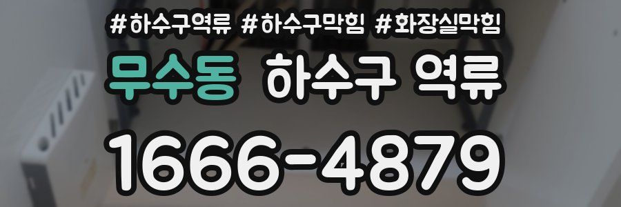 무수동 하수구 역류
