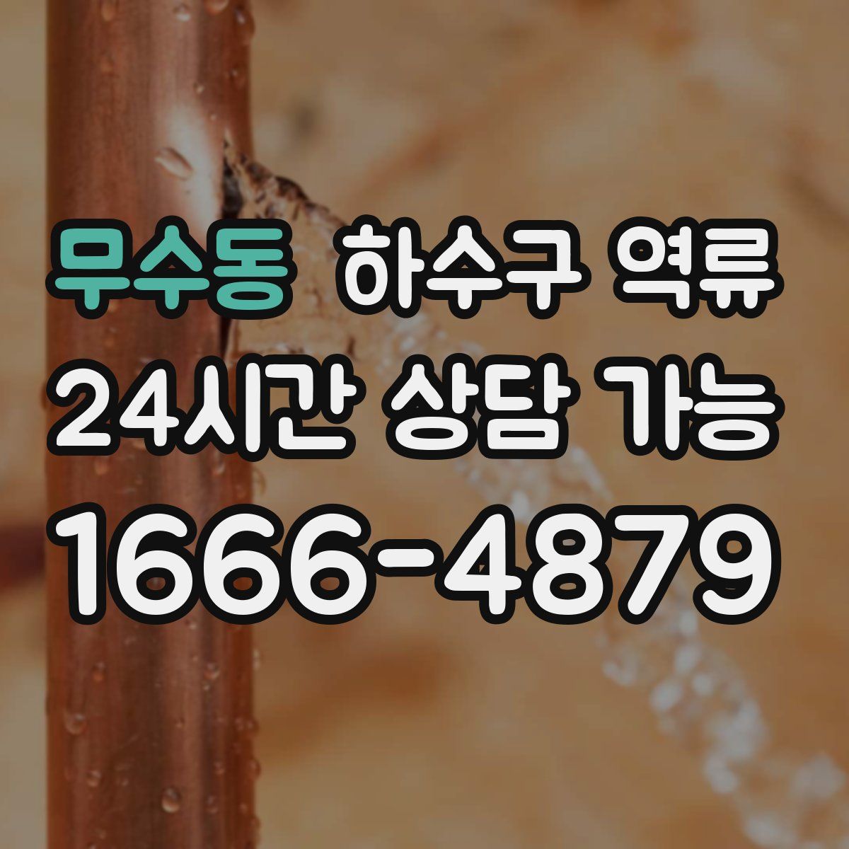 무수동 하수구 역류