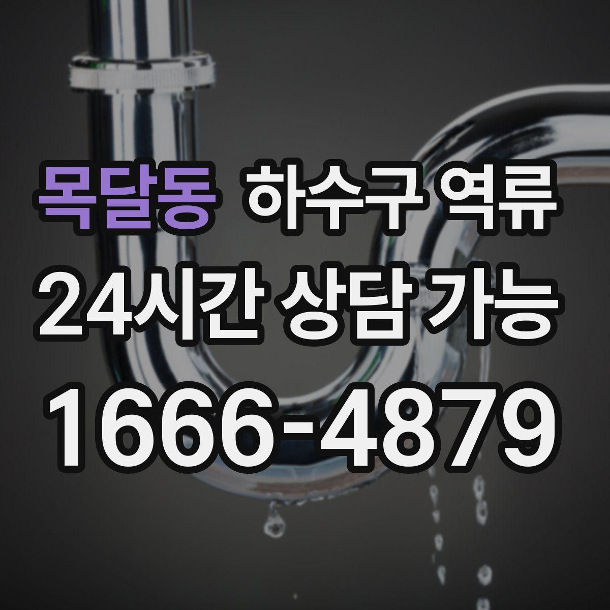 목달동 하수구 역류