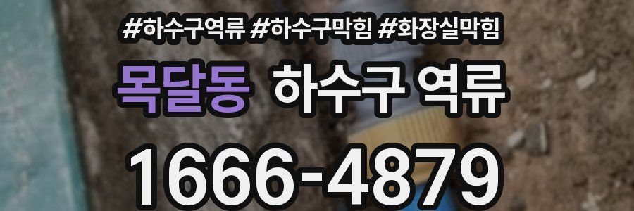 목달동 하수구 역류