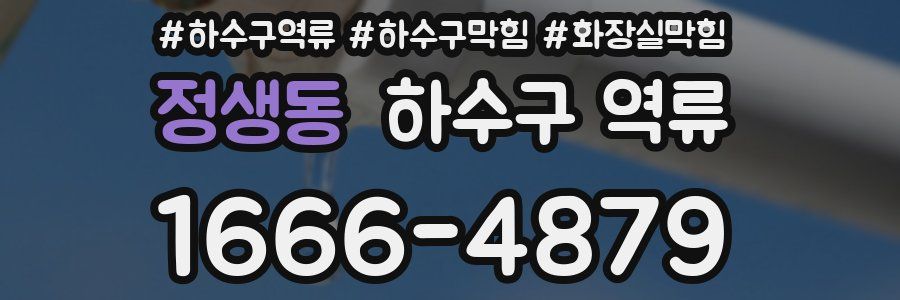 정생동 하수구 역류