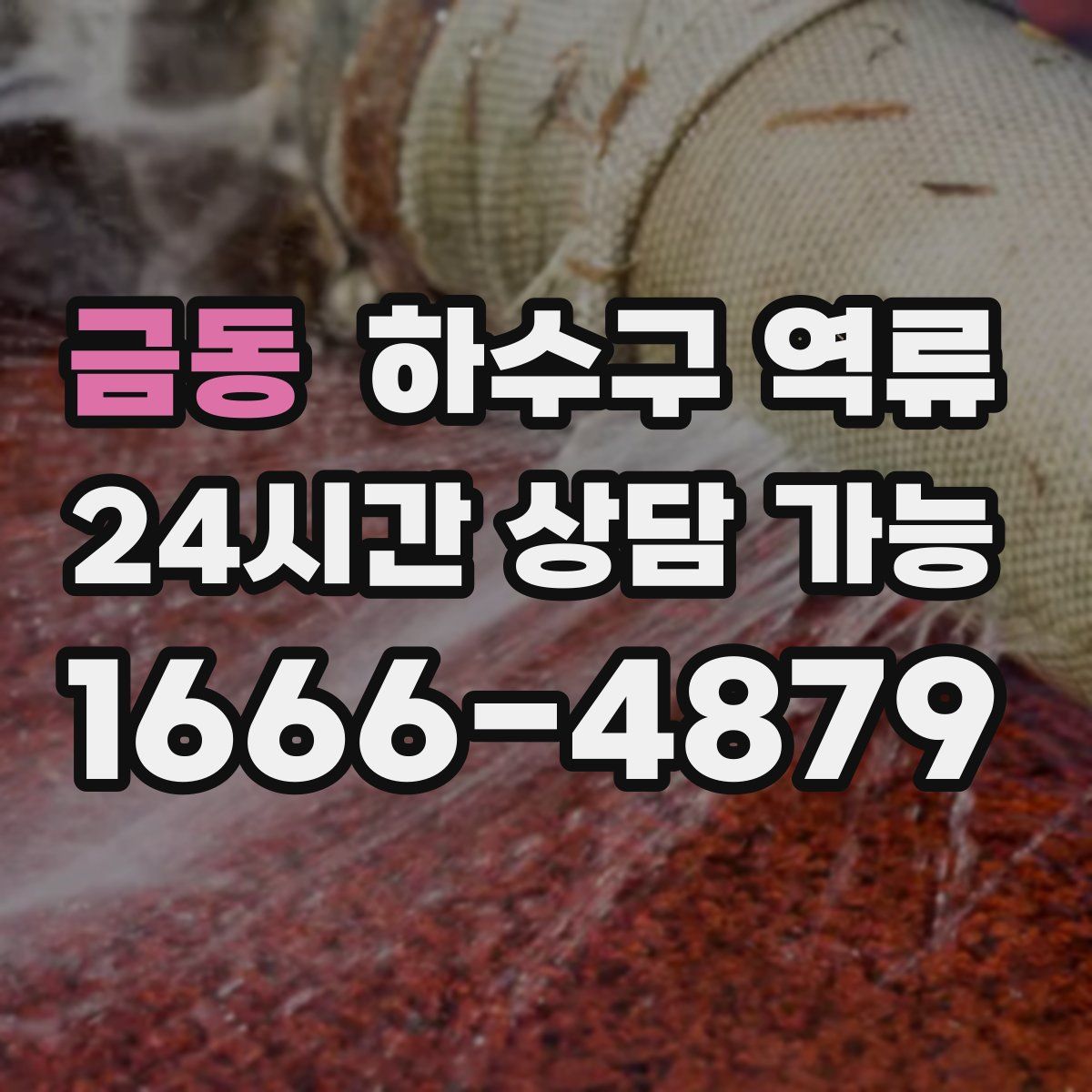 금동 하수구 역류