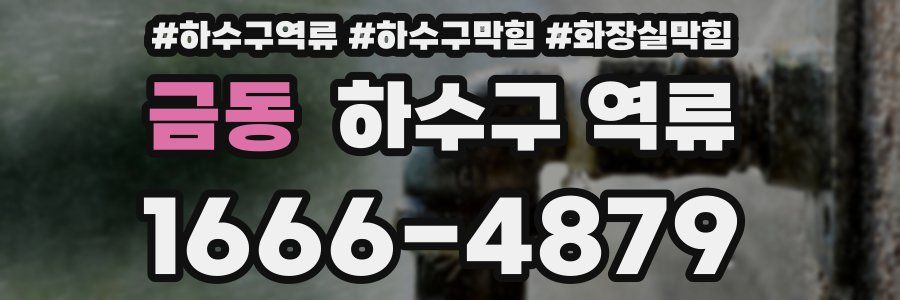 금동 하수구 역류