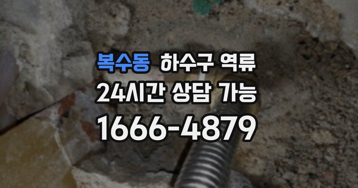 복수동 하수구 역류