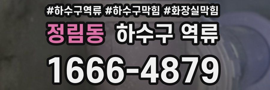 정림동 하수구 역류