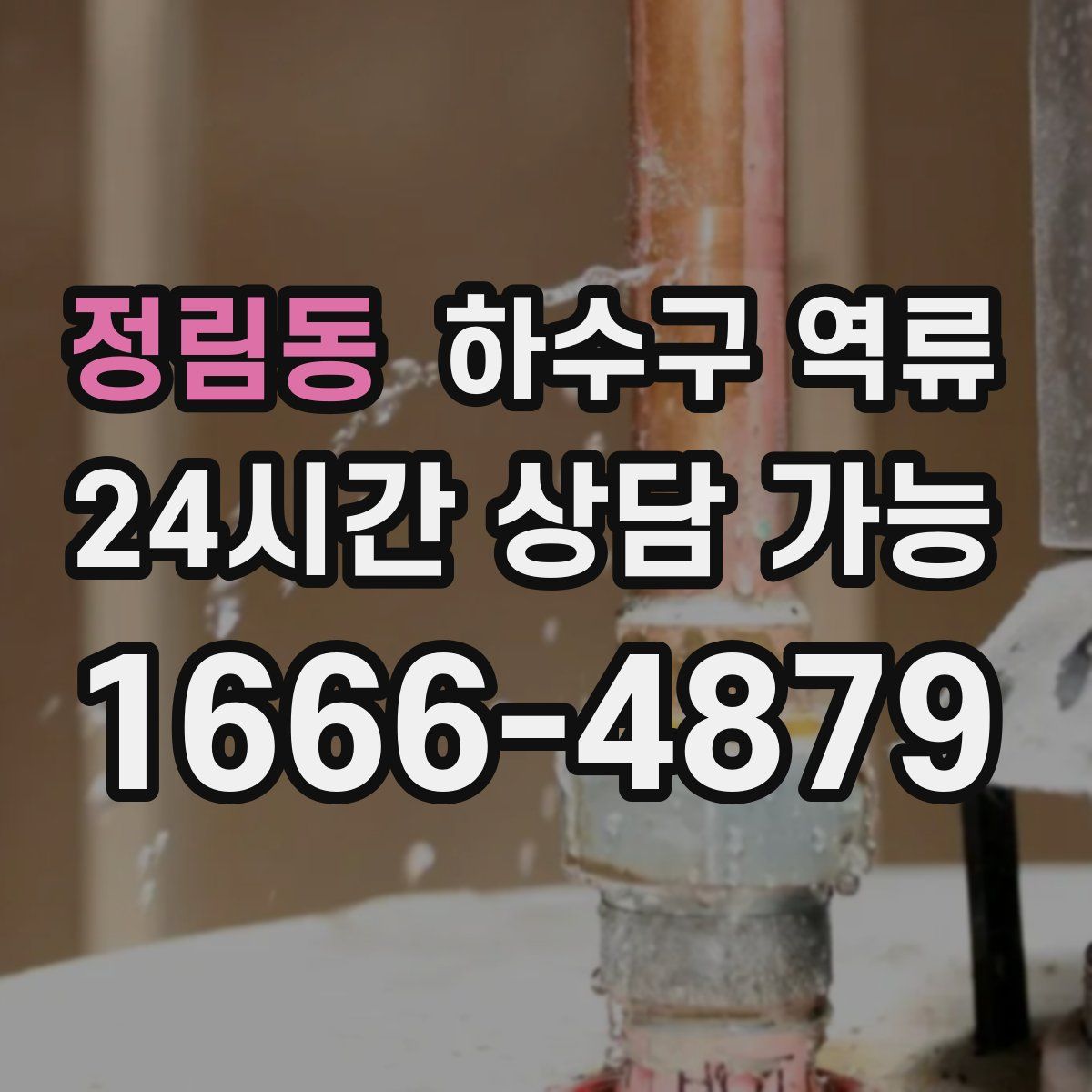 정림동 하수구 역류