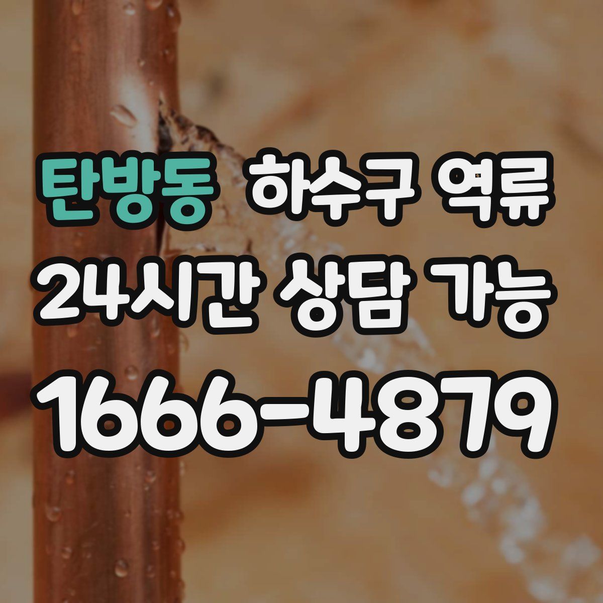 탄방동 하수구 역류