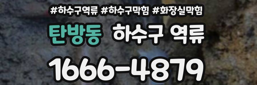 탄방동 하수구 역류