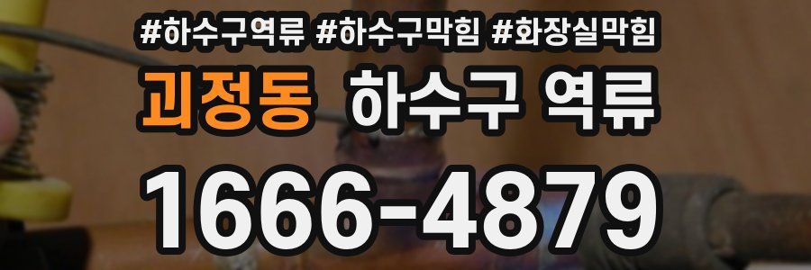 괴정동 하수구 역류