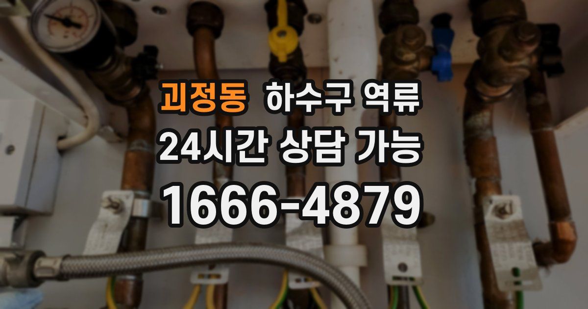 괴정동 하수구 역류