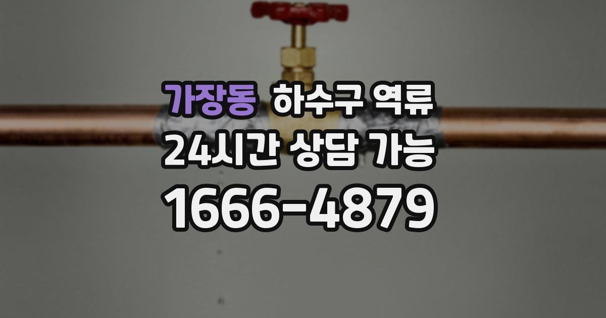 가장동 하수구 역류