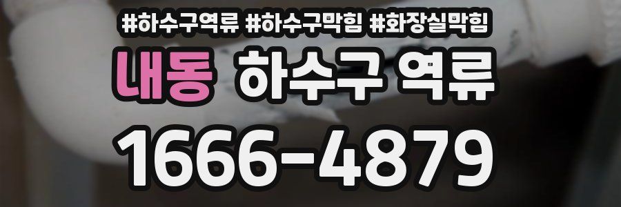 내동 하수구 역류