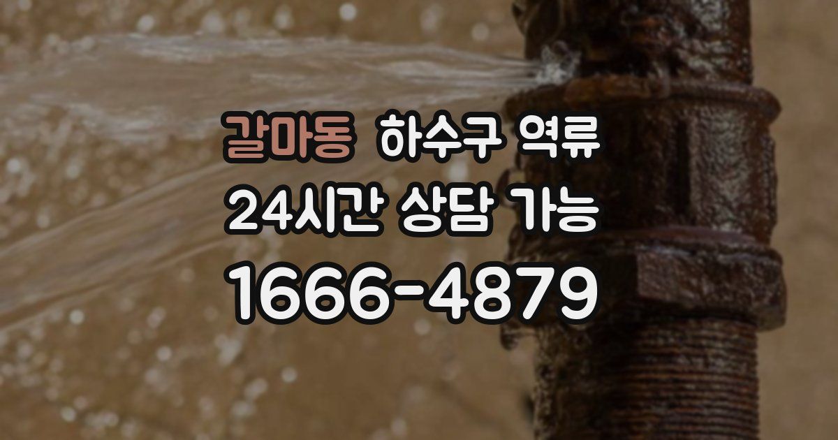 갈마동 하수구 역류