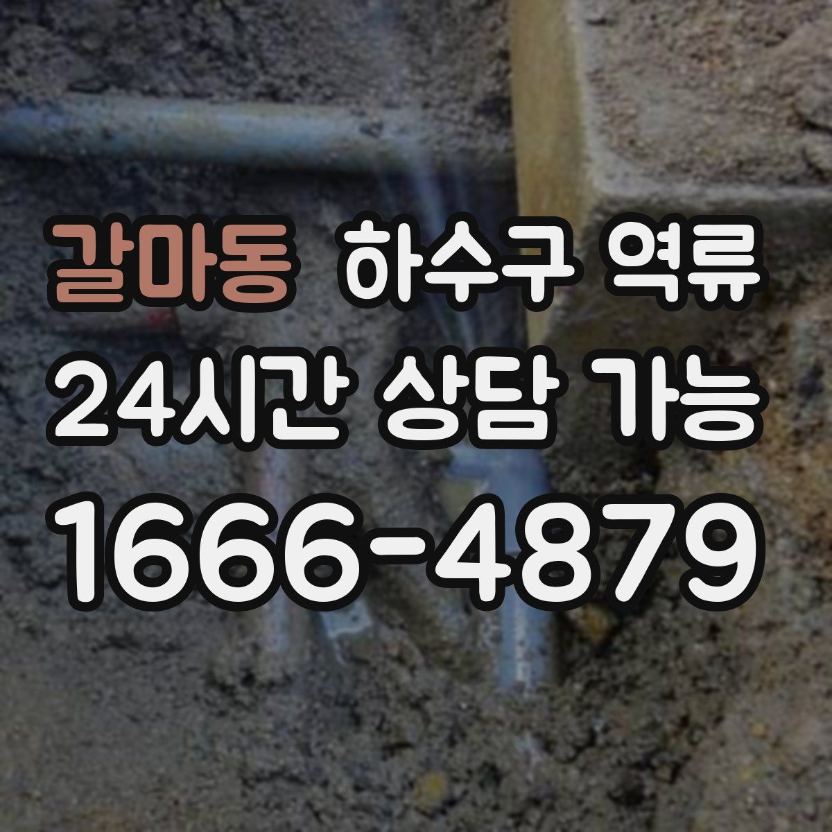 갈마동 하수구 역류