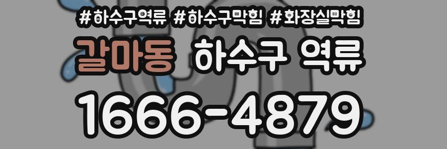 갈마동 하수구 역류