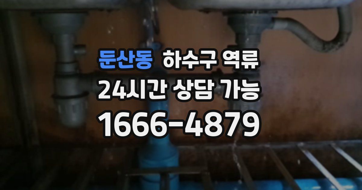 둔산동 하수구 역류