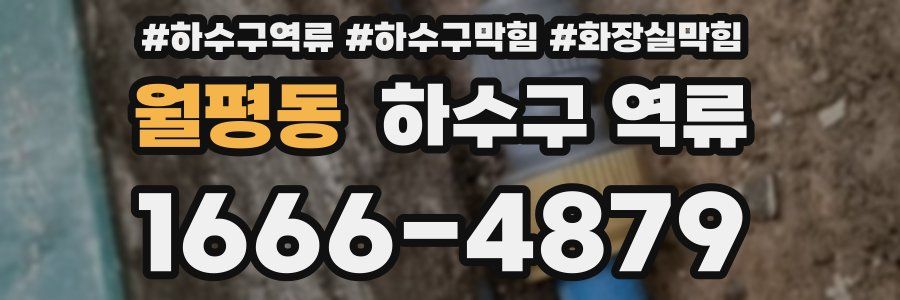 월평동 하수구 역류