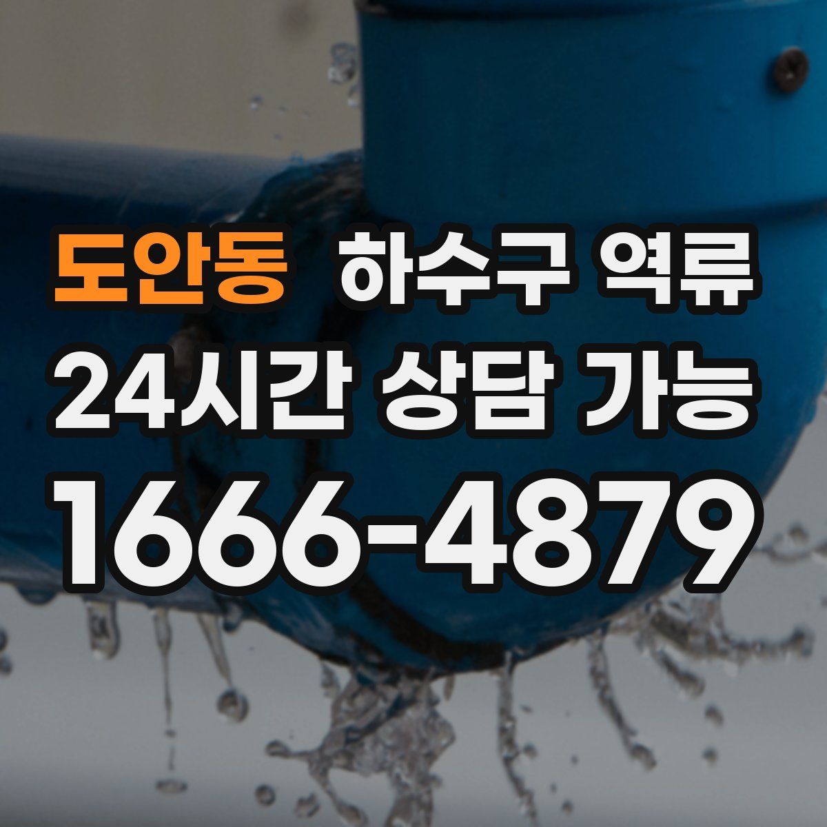 도안동 하수구 역류