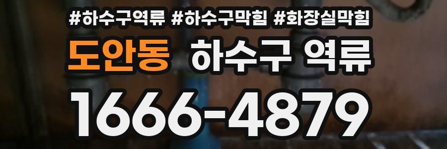도안동 하수구 역류