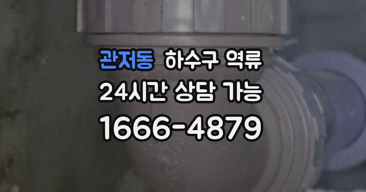 관저동 하수구 역류