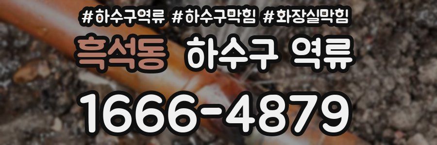 흑석동 하수구 역류