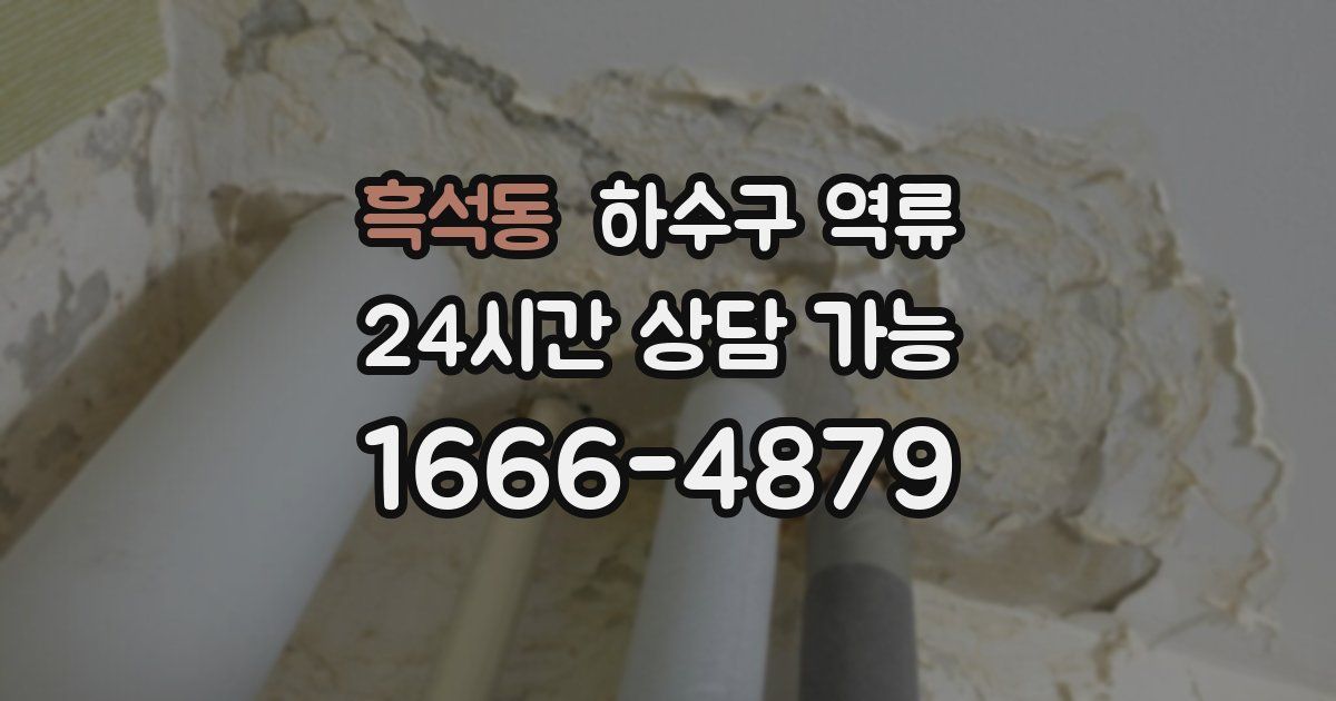 흑석동 하수구 역류