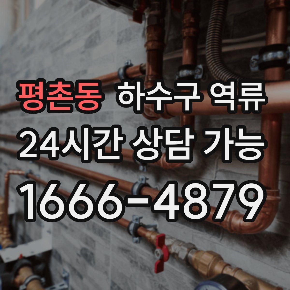 평촌동 하수구 역류