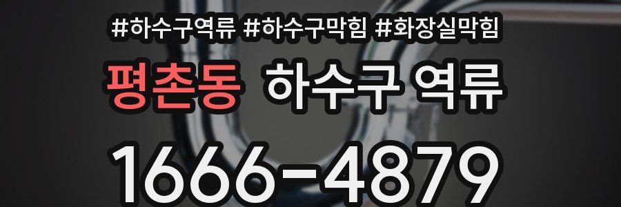 평촌동 하수구 역류