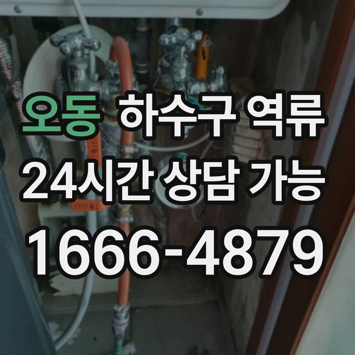 오동 하수구 역류