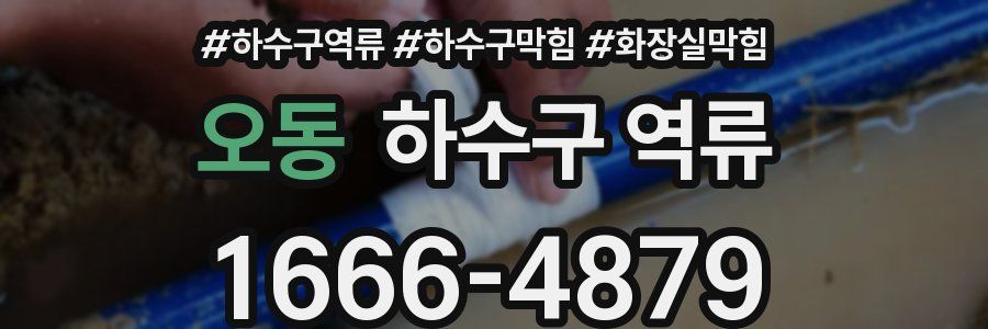 오동 하수구 역류