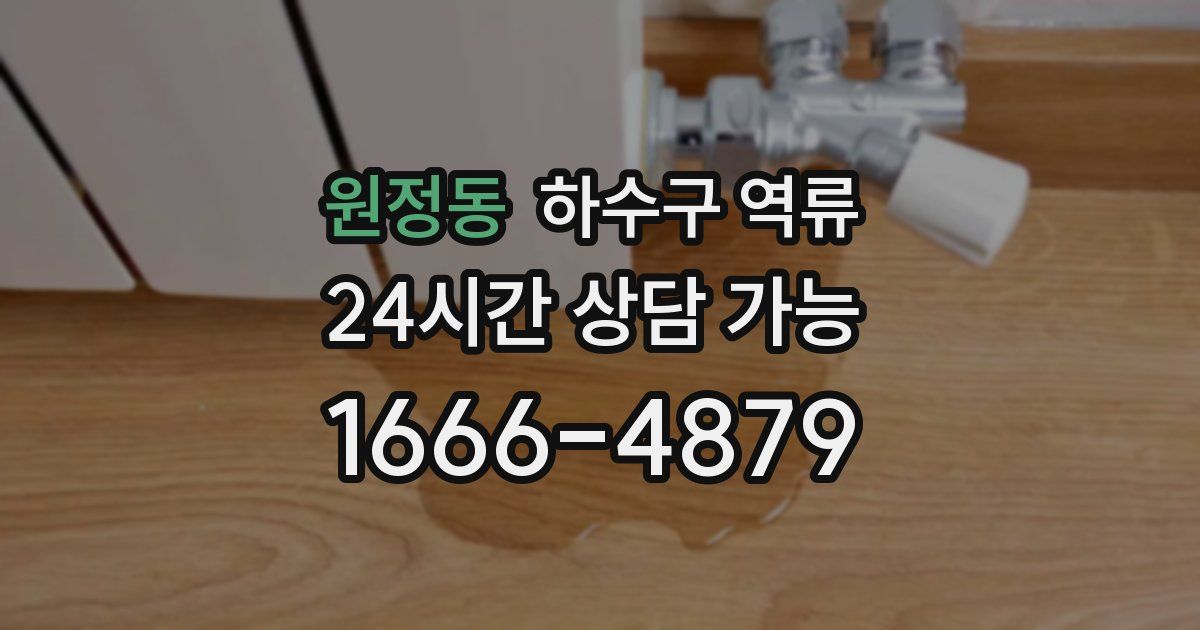 원정동 하수구 역류