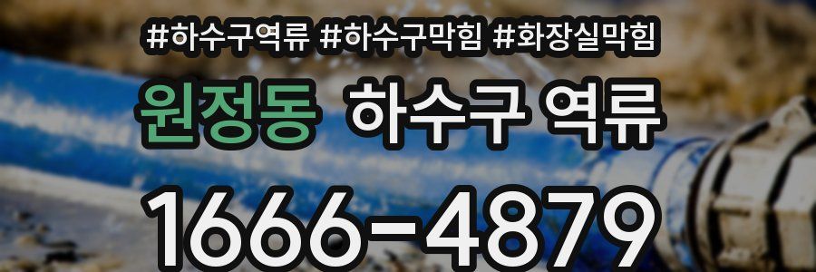 원정동 하수구 역류