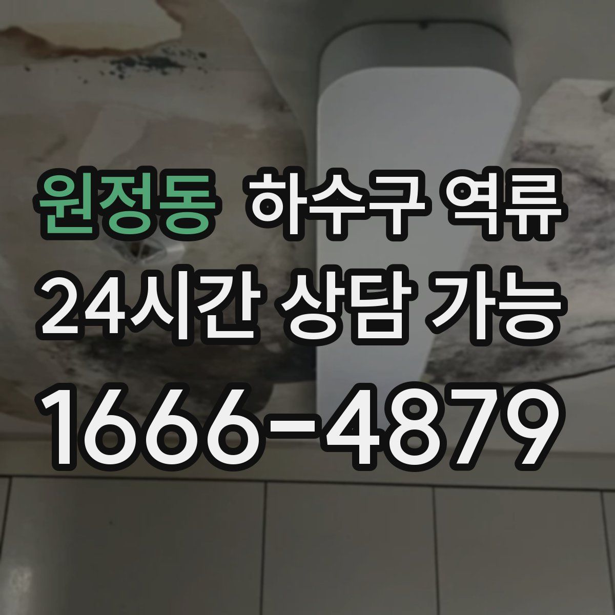 원정동 하수구 역류