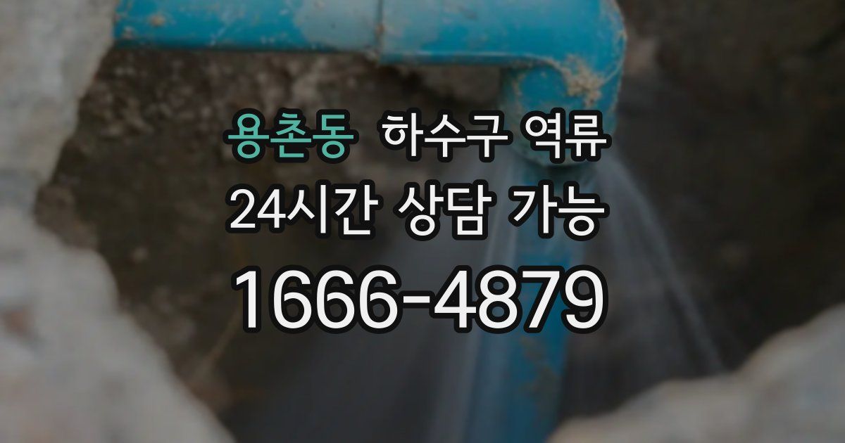 용촌동 하수구 역류