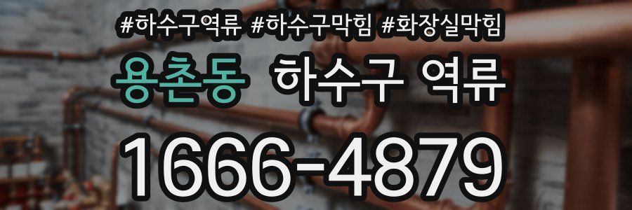 용촌동 하수구 역류