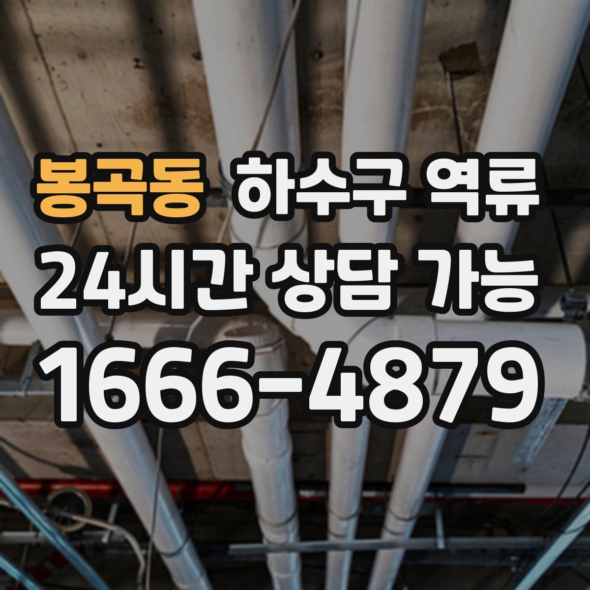 봉곡동 하수구 역류