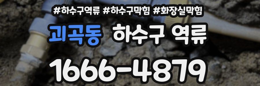 괴곡동 하수구 역류