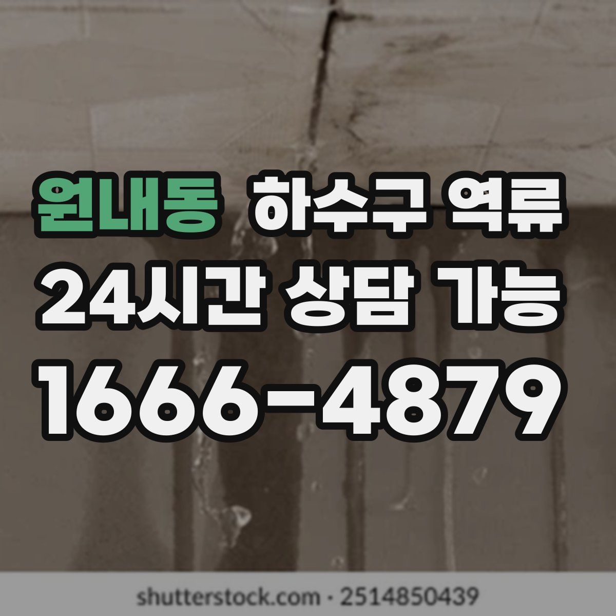 원내동 하수구 역류