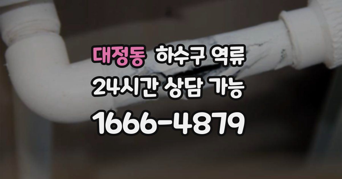 대정동 하수구 역류