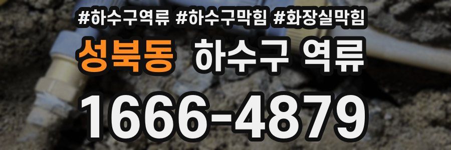 성북동 하수구 역류