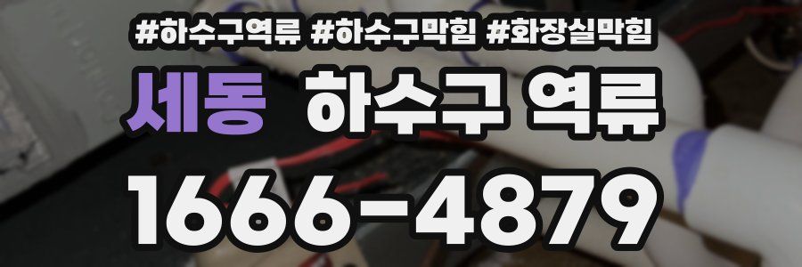 세동 하수구 역류