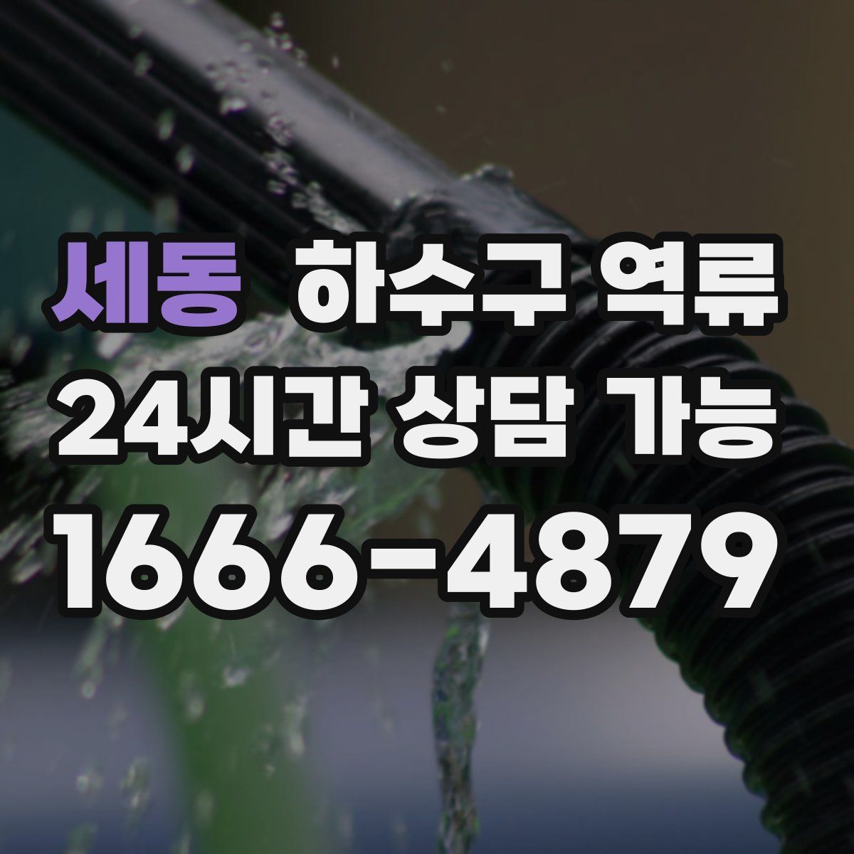 세동 하수구 역류